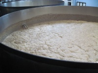 open vat fermentation.jpg